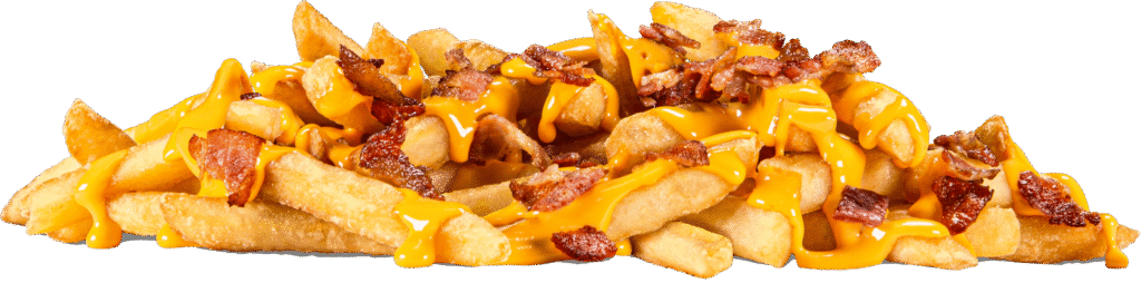 Bacon Cheese Fries