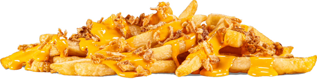 Onion Cheese Fries